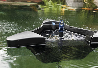 Cursos de capacitación